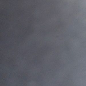 Meet your Posher, Lexis